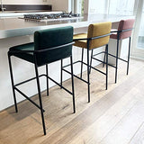 Damiware Lev Tabouret de Bar de qualité supérieure avec Housse en Velours ((Velours Vert Foncé, 75 cm)