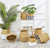 Panier Jonc De Mer Rangement Panier Plante Seagrass de Fleur Corbeille en Paille (22 x 20 cm, Naturel + Blanc)