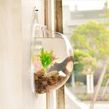 Cosanter Transparent Pots de Fleur en Acrylique Créatif Pots à Suspendre Multifonctions Aquarium pour Plantes Fleurs Poisson