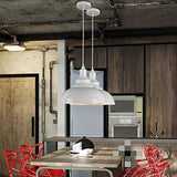 PETITES ECREVISSES Vintage Suspension Luminaire Industrielle E27 Ø29cm,Rétro Métal Lustre Abat-jour Lampe Plafonnier Eclairage Installation (Blanc)