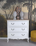 Nostalgie Commode Vintage Armoire Style Maison de Campagne Commode à tiroirs Palazzo en exclusivité