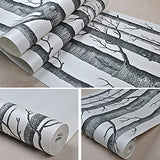Rouleau de papier peint en bois de bouleau Cutogain pour chambre à coucher, salon