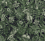 A.S. Création papier peint intissé Greenery papier peint effet jungle papier peint oiseau 10,05 m x 0,53 m vert noir 372101 37210-1