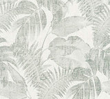Livingwalls papier peint intissé New Walls Cosy & Relax papier peint effet jungle papier peint palmier 10,05 m x 0,53 m crème beige vert 373964 37396-4
