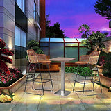 HPTK Tabouret De Bar, Lot De 2, Tabouret De Bar en Rotin Tissé À La Main, Chaise De Comptoir avec Dossier, Tabourets De Salle À Manger pour Le Petit-déjeuner, pour Piscine/Café/Cuisine