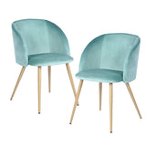 FURNISH1 Lot de 2 Superbe Chaise de Salle à Manger en Velours, Dossier rembourré Ergonomique et Assise rembourrée,Chaise Aqua de Salle à Manger 52 * 46.5 * 82cm