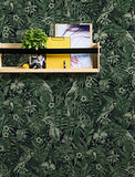 A.S. Création 372101 37210 Greenery Papier peint intissé Motif palmiers Vert/noir 10,05 m x 0,53 m, 372101