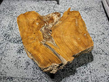 Meubletmoi Table Basse Racine de Teck et Pieds métal Noir - Design Exotique Chic Bord de mer - Padang