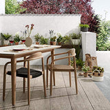 Kave Home - Chaise Nina Beige Eucalyptus FSC 100%