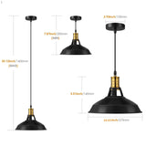 Albrillo Lot de 2 Suspension Luminaire Industrielle, Plafonnier Rétro en Noir Classique