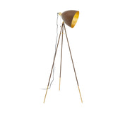 EGLO 49519 Lampe sur pied, Acier, E27, 60 W, Rostfarben, Gold