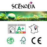 Scenolia Papier Peint Intissé Jardin et Patio Tropical 4 x 2,70m - Décoration Murale Effet Trompe l'Oeil - Revêtement Panoramique Tapisserie XXL - Pose Facile et Qualité HD
