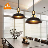 Albrillo Lot de 2 Suspension Luminaire Industrielle, Plafonnier Rétro en Noir Classique