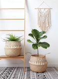Mkouo Macramé Mural à Suspendre pour Plante Suspension Corde Driftwood Decor Bohême Tricoté en Coton Décor Tapisserie, 17" W x 26" L