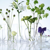 LSA Vase pour Petit Bouquet Transparent