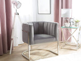 Fauteuil en Velours Gris LARVIK