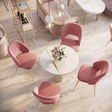 SONGMICS Lot de 2 Chaises de Salle à Manger, Chaise de Loisirs Moderne en Velours, Rose LDC81PK