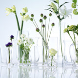 LSA Vase pour Petit Bouquet Transparent