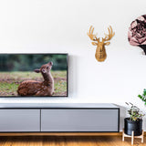 bambuswald Tête d'animal en Bois - Trophée/Décoration en Optique 3D - Cerf 40x25x55 | Chambre Bébé & Enfant | Décoration Murale | Panneau Mural Animal Trophy Wandskupltur Tête + Manuel Allemand