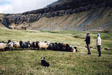Northern Comfort : The Nordic Art of Creative Living
